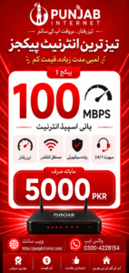 100mb-pakage